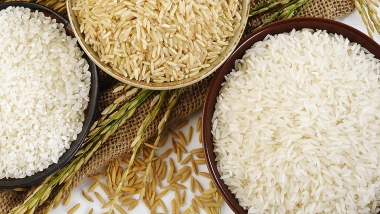 Тайский рис Хом Мали (Jasmine rice) выиграл титул Лучшего в мире риса 2016 в мировом конкурсе