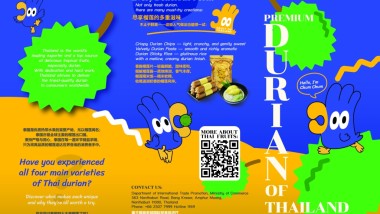 Durian (Thailand: The Land of Tropical Fruits)