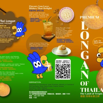 Longan (Thailand: The Land of Tropical Fruits)
