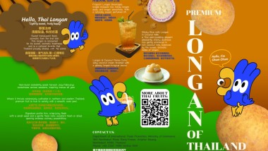 Longan (Thailand: The Land of Tropical Fruits)